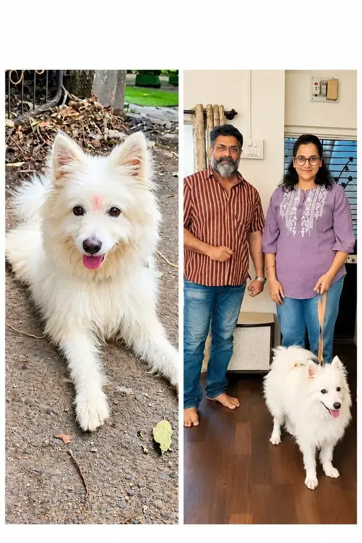 Rescued dog and adoptive family during a home adoption moment