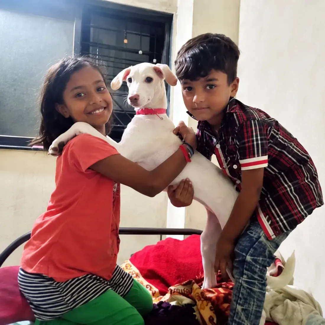 Children meeting and caring for a rescued white puppy