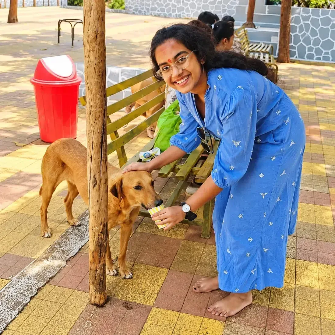 Volunteer offering care and attention to a street dog