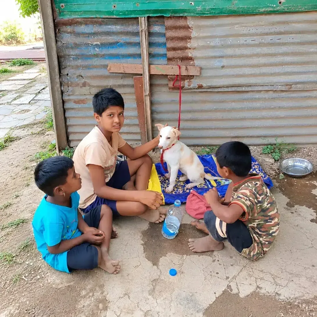 Children spending time with a rescued puppy