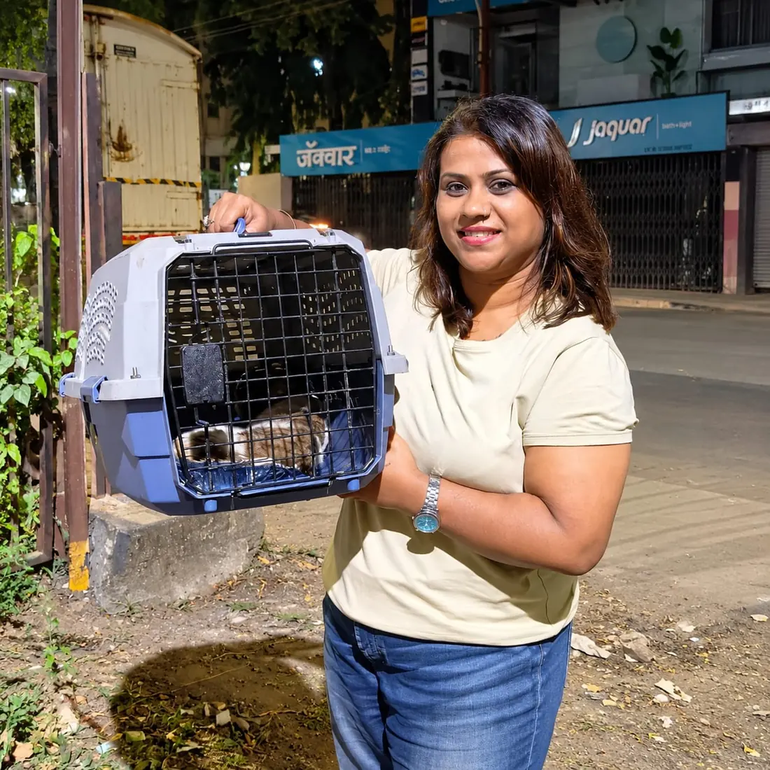 Rescued cat being transported safely for care