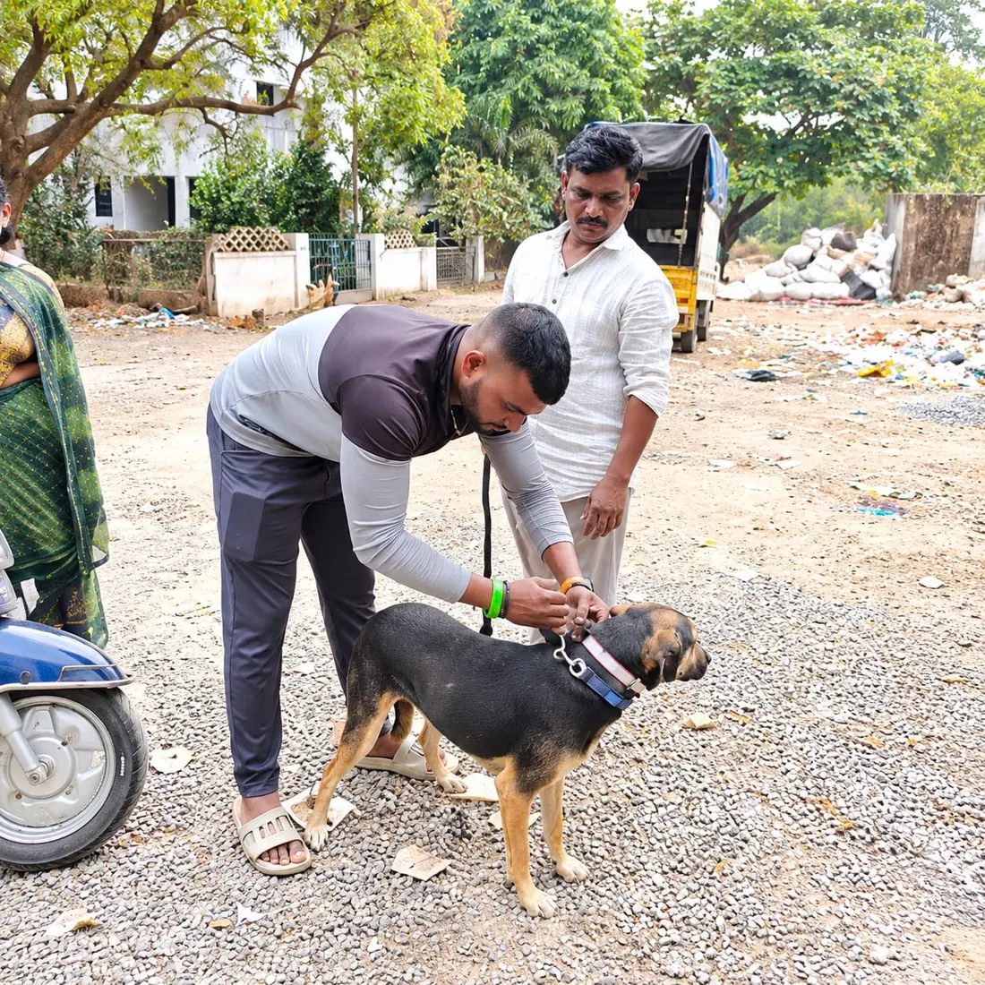 Volunteer helping a community dog with a collar