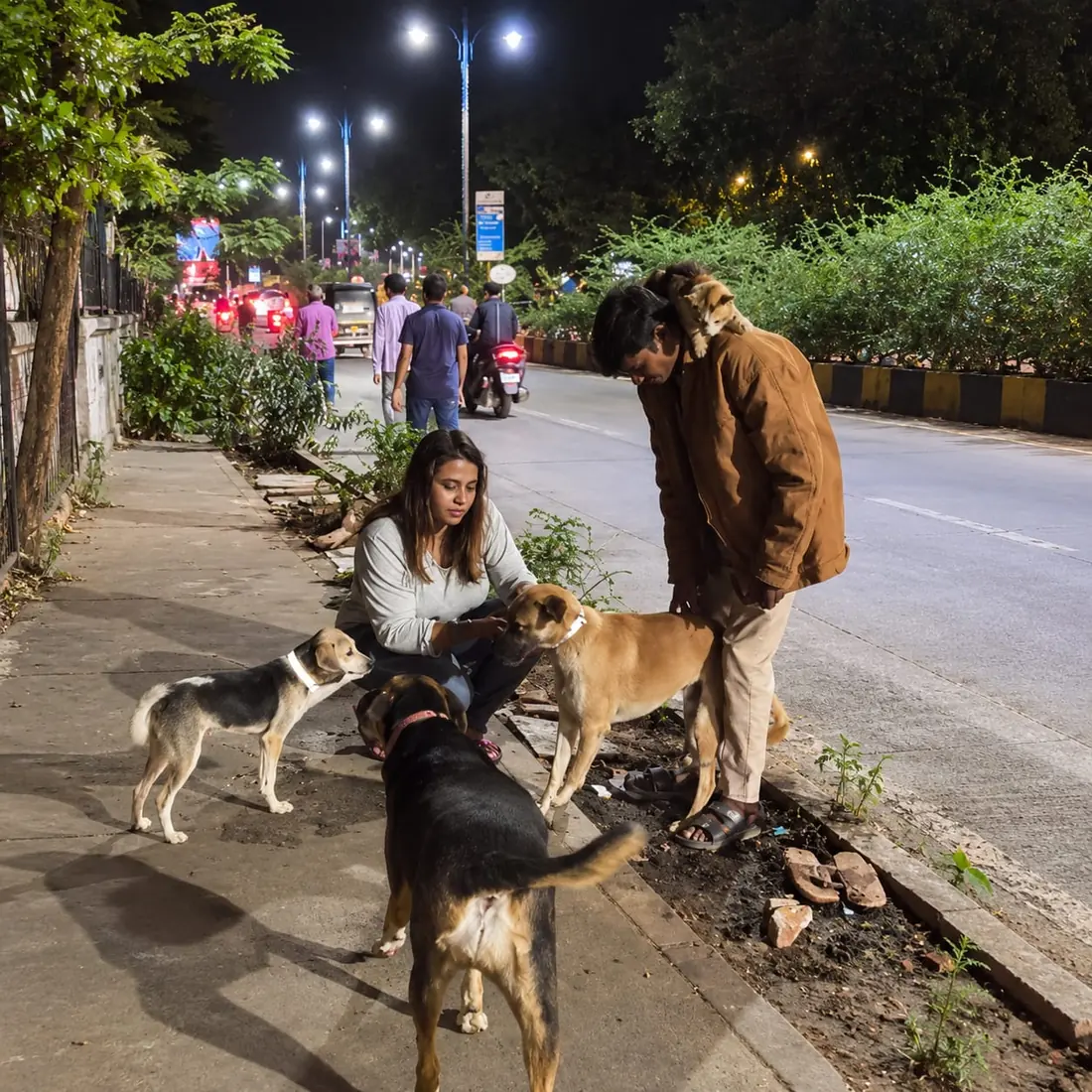Volunteers providing support to street dogs