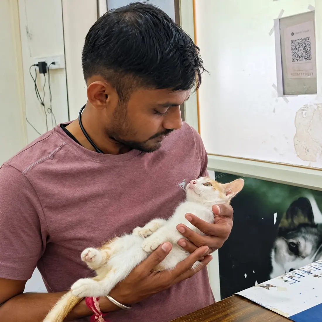A rescued kitten receiving gentle care