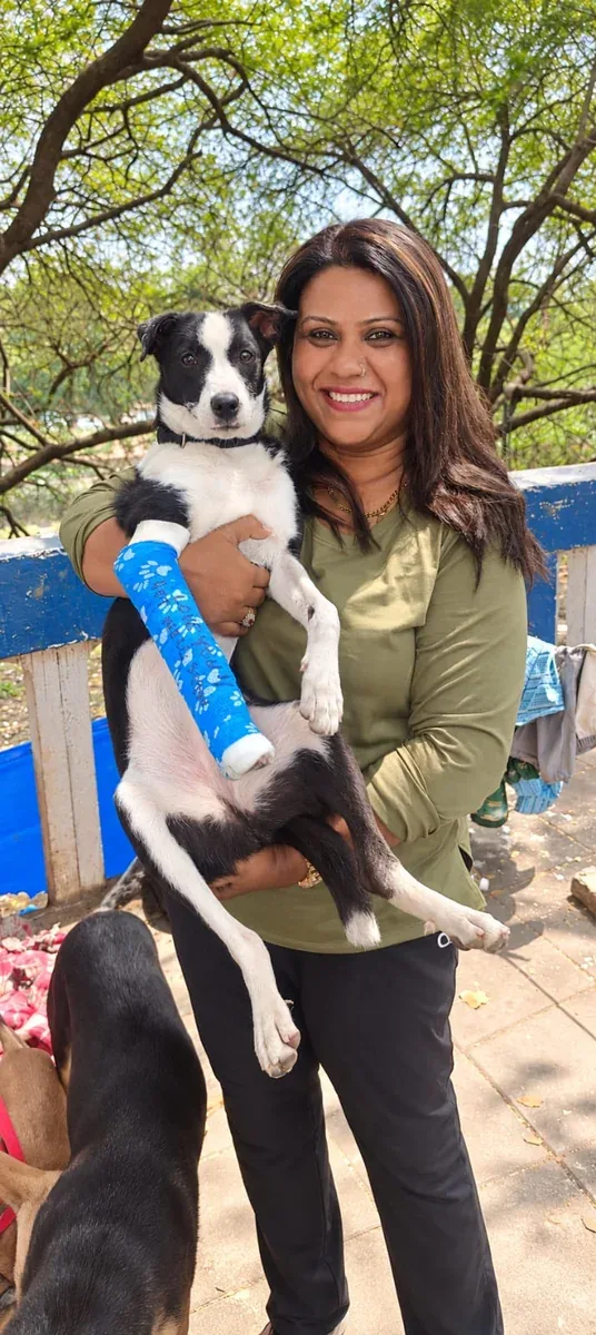 Paw Langar Foundation rescuing and caring for a white dog