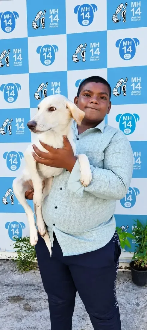 Paw Langar Foundation team member carrying a rescued dog
